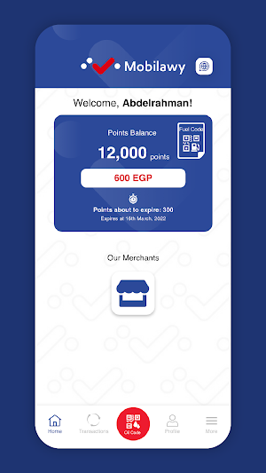 Mobilawy Screenshot 1