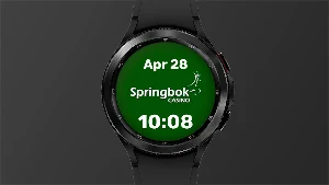 Springbok - WatchFace Screenshot 2