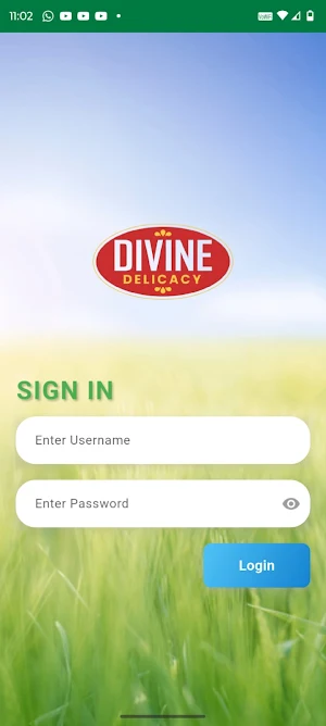 Divine Delicacy Screenshot 1