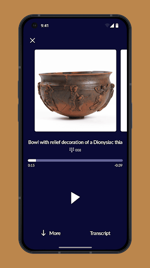 Archaeological Museum of Pylos Screenshot 3