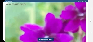 Vivid collection по непр. глаг Screenshot 3