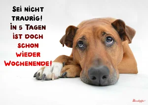 Schöne Woche und Wochenende Screenshot 3