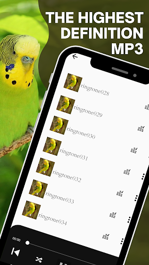Budgerigar bird sound screenshot 3