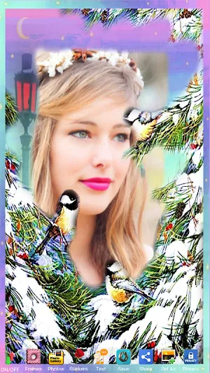 Photo Frames Winter Screenshot 1