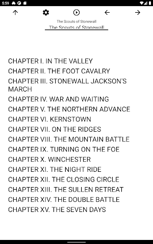 Book, The Scouts of Stonewall Screenshot 2