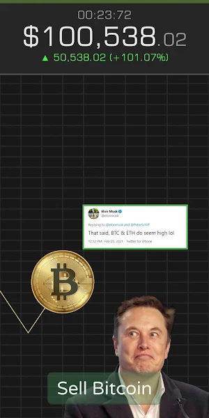 Bitcoin Crash Screenshot 1