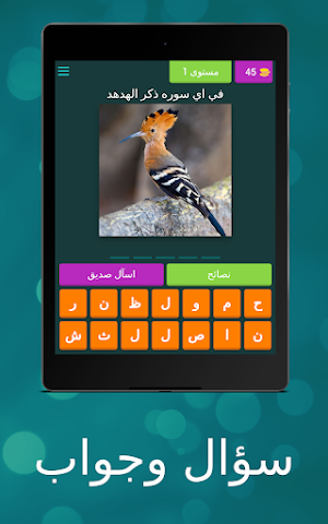 اسئلة واجوبة Screenshot 3