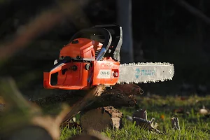 Chainsaw Sounds screenshot 2