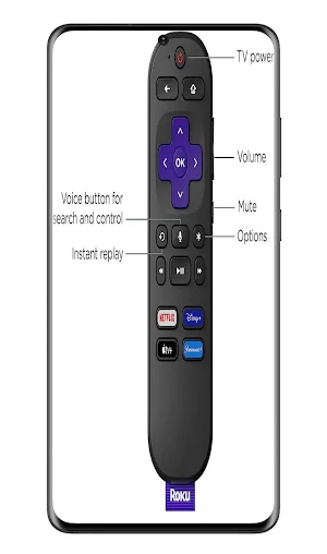 Roku 4K Streaming Stick Guide Screenshot 3