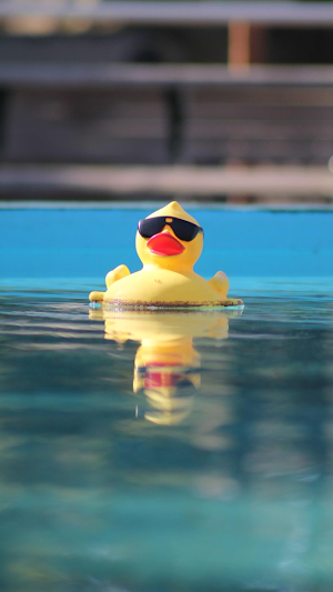 Rubber Duck Wallpaper Screenshot 1