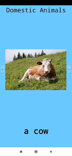 Animals ვისწავლოთ ცხოველები Screenshot 0