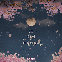 카카오톡 테마 - 오늘이 제일 예쁘다_밤 벚꽃