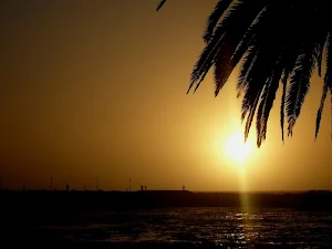 Sun wallpapers Screenshot 2