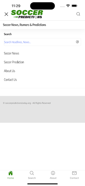 Soccer Predictions Today Screenshot 1
