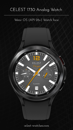 CELEST1730 Analog Watch Screenshot 3