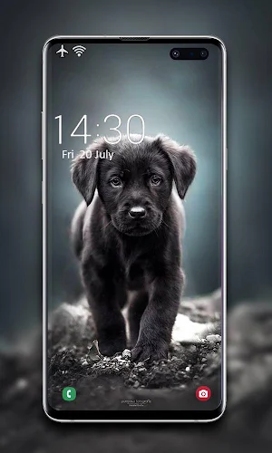 Puppy Wallpaper 🐶 Screenshot 1