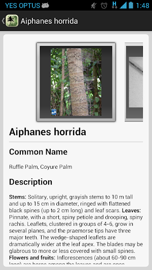 Palm ID Key Screenshot 3