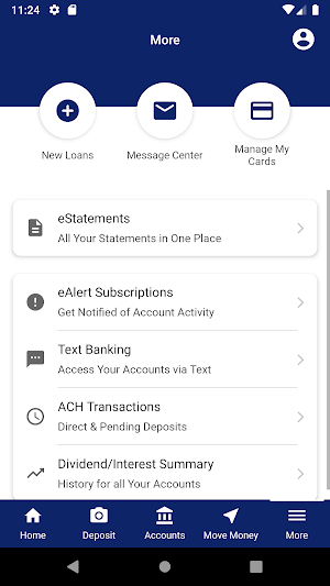 Five Star FCU Screenshot 2