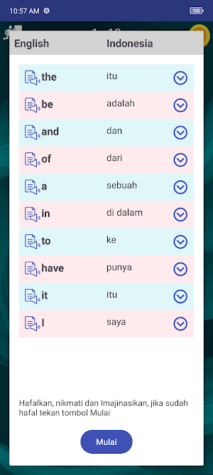 300 Popular English Words Screenshot 2