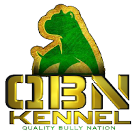 QBN App