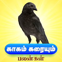 Kagam Karaiyum Palangal