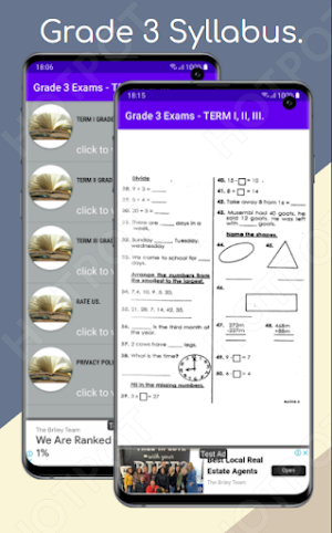 Grade 3 Exams: Term I, II, III Screenshot 2