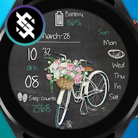 BFF37-Blackboard Art Bicycle