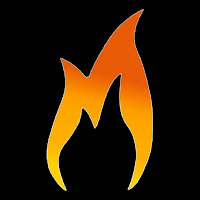 Fuego Mexican Grill LLC