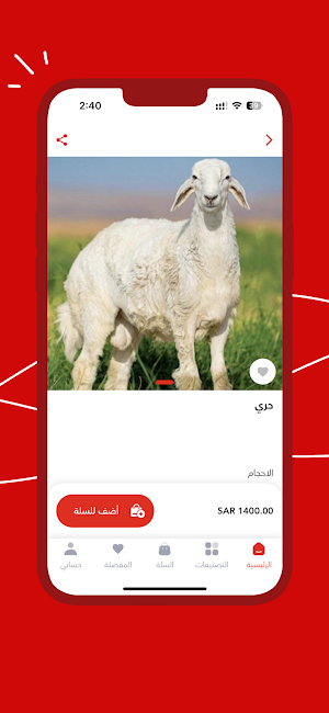 مشعل للذبائح Screenshot 2