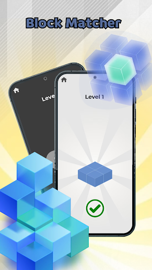 Block Matcher Screenshot 3