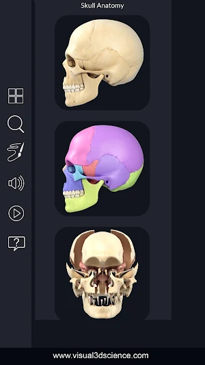 Skull Anatomy Pro. Screenshot 1