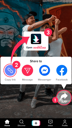 Video Downloader for TikTok Screenshot 0