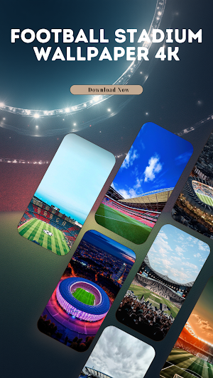 Football Stadium Wallpaper 4K Screenshot 0