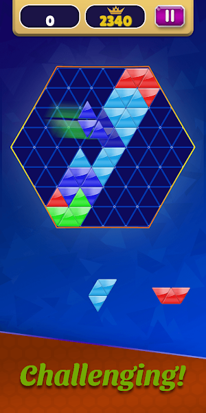 Block Hexa Puzzle - Trai Hexa Screenshot 2