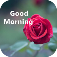 good morning rose