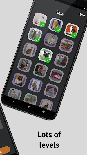 Cat Breeds: Quiz Screenshot 1