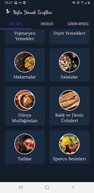 Nefis Yemek Tarifleri Screenshot 2