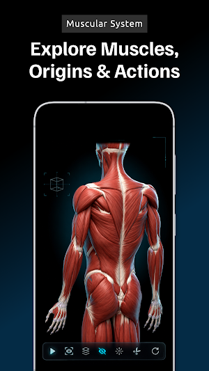 Concise Anatomy 3D Screenshot 1