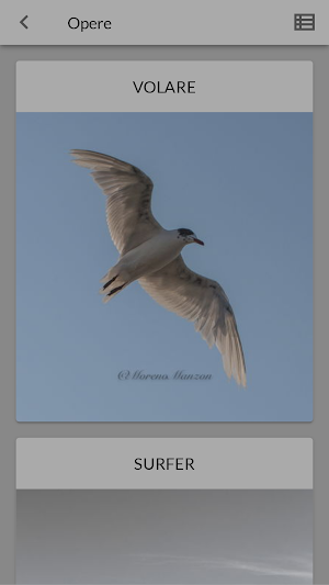 Moreno Manzon Screenshot 3