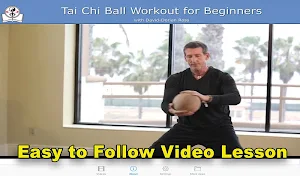 Tai Chi Ball Beginner Screenshot 2
