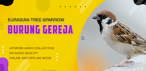 Bird: Eurasian Tree Sparrow Screenshot 1