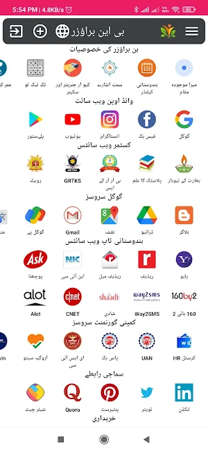 BN Browser Screenshot 2