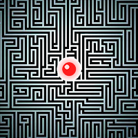 Ball Maze Way Labyrinth Puzzle