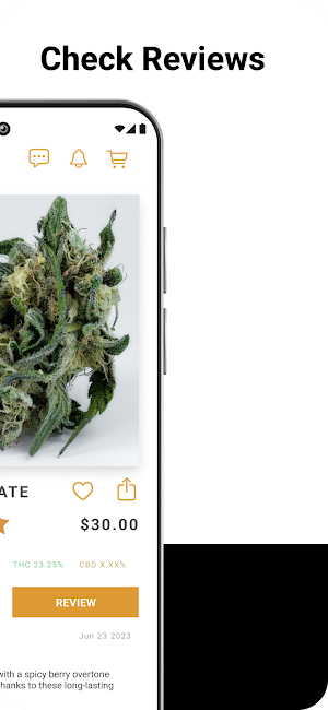 The New Amsterdam Screenshot 3