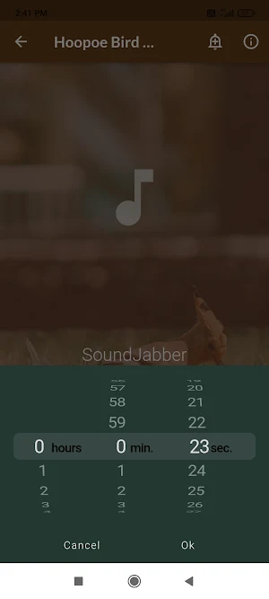Hoopoe Bird Sounds Screenshot 3