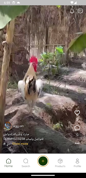 GoldenEgg Screenshot 2