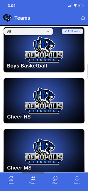 Demopolis Tigers Screenshot 1