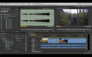 Editing Your Footage Course for Premiere Pro CC Screenshot 2