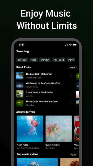 Offline Music, Music Player Screenshot 0