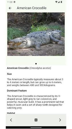 Costa Rica Nature Screenshot 1